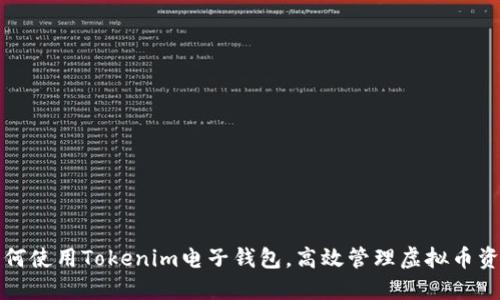 如何使用Tokenim电子钱包，高效管理虚拟币资产