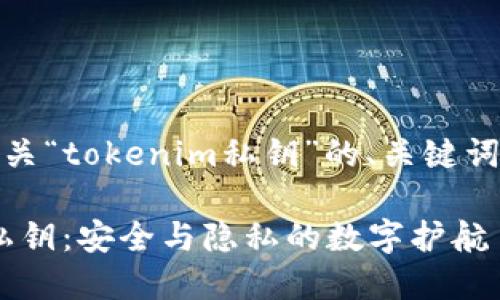 好的，以下是有关“tokenim私钥”的、关键词和内容的示例。

揭秘Tokenim私钥：安全与隐私的数字护航