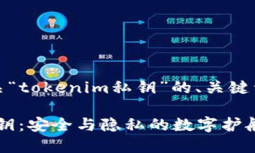 好的，以下是有关“tokenim私钥”的、关键词和内容的示例。

揭秘Tokenim私钥：安全与隐私的数字护航