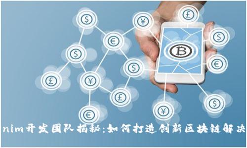 tokenim开发团队揭秘：如何打造创新区块链解决方案