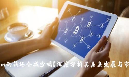 Tokenim的钱还会减少吗？深度分析其未来发展与市场潜力