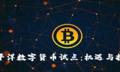 探索太平洋数字货币试点