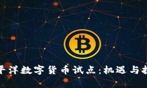 探索太平洋数字货币试点：机遇与挑战并存