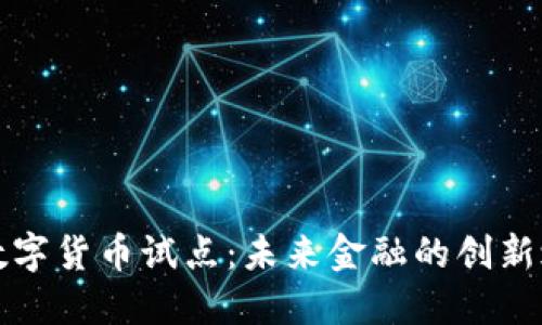 AI数字货币试点：未来金融的创新之路
