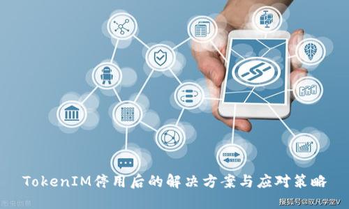 TokenIM停用后的解决方案与应对策略