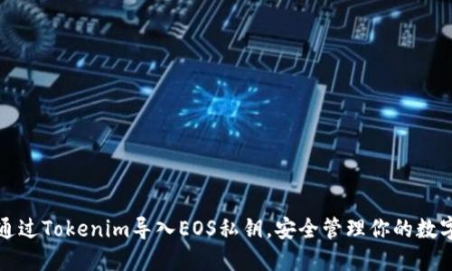 如何通过Tokenim导入EOS私钥，安全管理你的数字资产