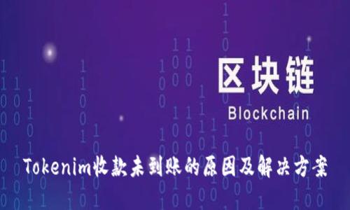 Tokenim收款未到账的原因及解决方案
