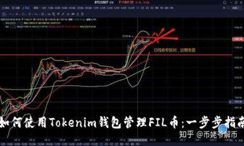 如何使用Tokenim钱包管理FIL币：一步步指南