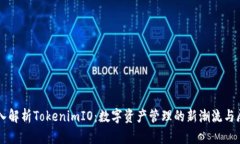 深入解析TokenimIO：数字资