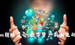 Tokenim转账简介：数字资产