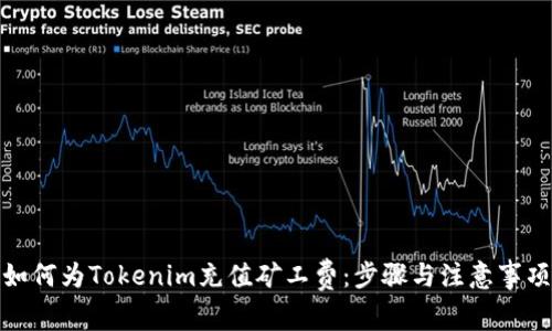 如何为Tokenim充值矿工费：步骤与注意事项