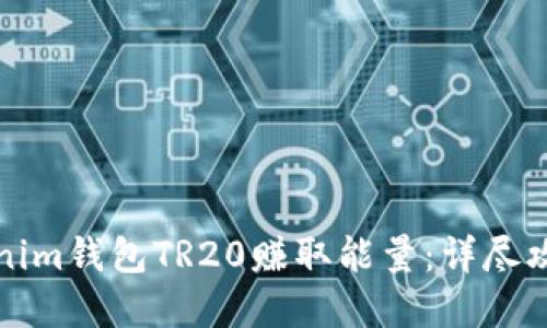 如何通过Tokenim钱包TR20赚取能量：详尽攻略与实用技巧