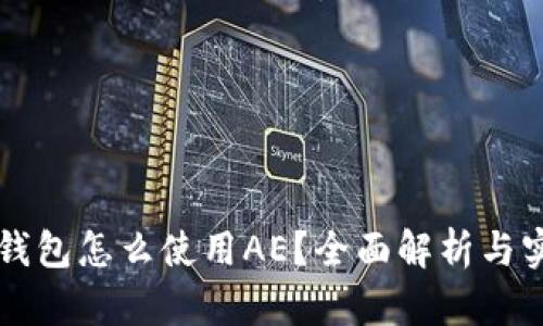 以太坊钱包怎么使用AE？全面解析与实用技巧