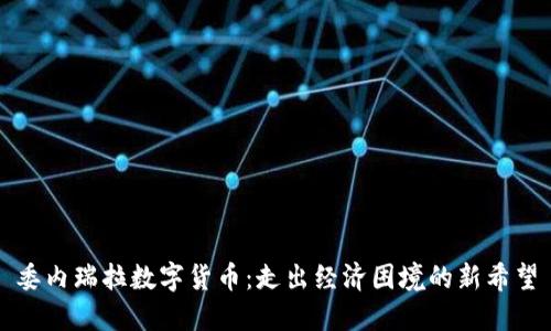 委内瑞拉数字货币：走出经济困境的新希望