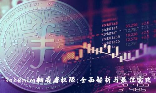 Tokenim拥有者权限：全面解析与最佳实践