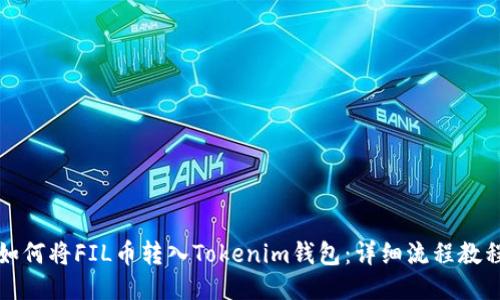 如何将FIL币转入Tokenim钱包：详细流程教程