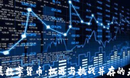 
地方发展数字货币：机遇与挑战并存的未来之路