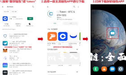 如何将Tokenim导入M链：全面指南