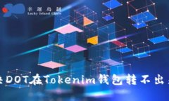 如何解决DOT在Tokenim钱包转