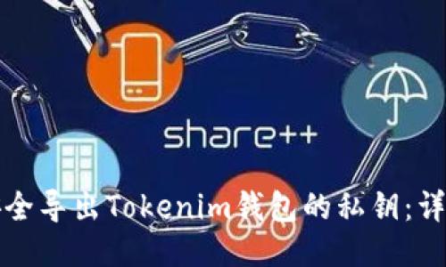 如何安全导出Tokenim钱包的私钥：详细指南