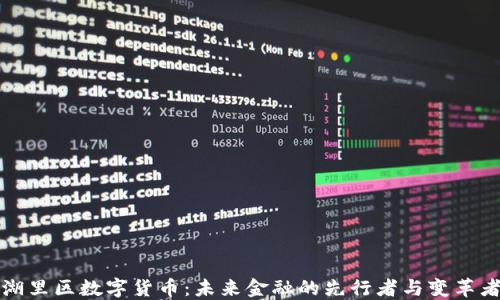 
湖里区数字货币：未来金融的先行者与变革者