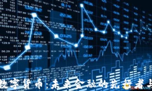 
湖里区数字货币：未来金融的先行者与变革者