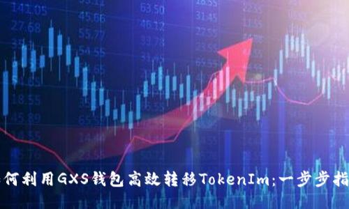 如何利用GXS钱包高效转移TokenIm：一步步指南