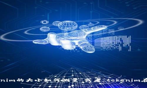 请明确您想了解的具体内容。有几个相关的问题，比如“tokenim的定义”、“tokenim的大小如何测量”或者“tokenim在某个特定上下文中的大小”。提供更多详细信息将帮助我更好地回答您的问题。