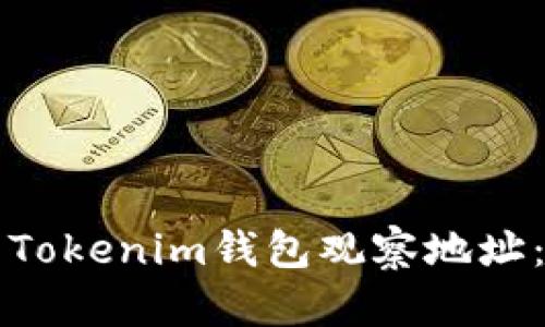如何使用Tokenim钱包观察地址：全面指南