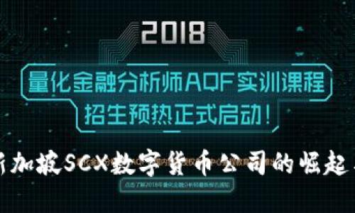 探秘新加坡SCX数字货币公司的崛起与未来
