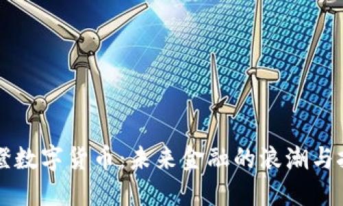 碧橙数字货币：未来金融的浪潮与挑战