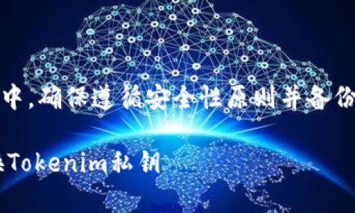 在更换Tokenim私钥的过程中，确保遵循安全性原则并备份重要数据。以下是详细步骤：

### 如何安全有效地更换Tokenim私钥