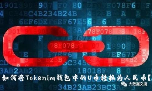 如何将Tokenim钱包中的U币转换为人民币？