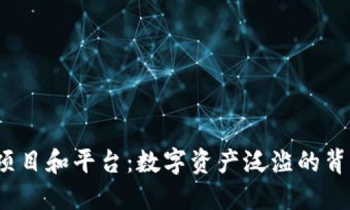 揭示国外类似Tokenim的项目和平台：数字资产泛滥的背后，您需要了解的关键要素