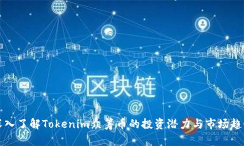 深入了解Tokenim众筹币的投资潜力与市场趋势