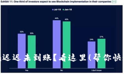 转账到Tokenim迟迟未到账？看这里！帮你快速解决转账问题