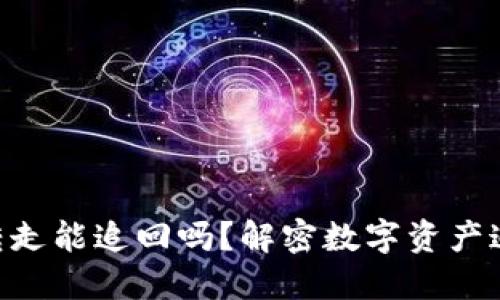 Tokenim被转走能追回吗？解密数字资产追回的可能性