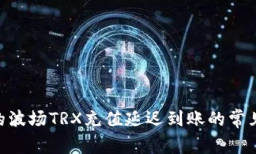 Tokenim钱包中的波场TRX充值延迟到账的常见原因及解决方案
