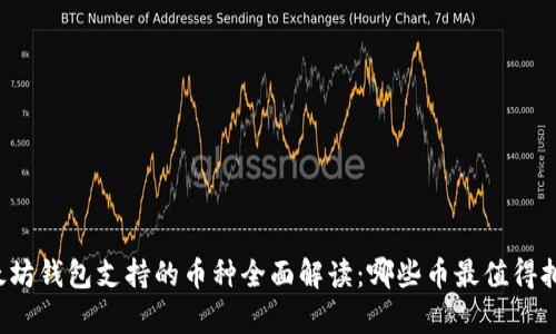 以太坊钱包支持的币种全面解读：哪些币最值得拥有？