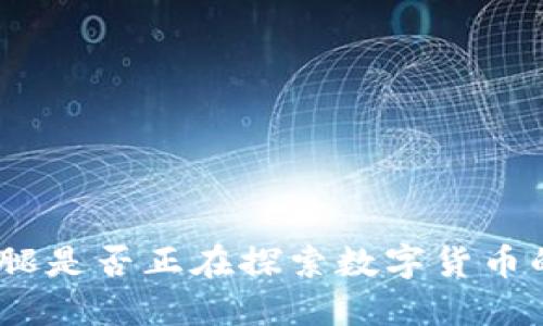 金字火腿是否正在探索数字货币的未来？