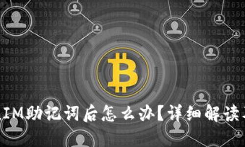 忘记TokenIM助记词后怎么办？详细解读及解决方案