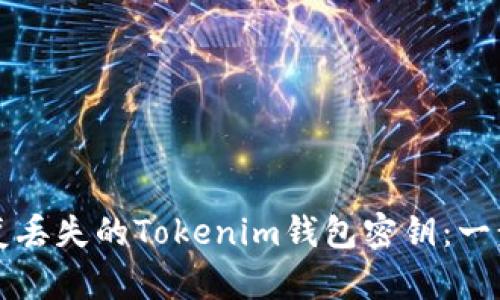 如何恢复丢失的Tokenim钱包密钥：一步步指导