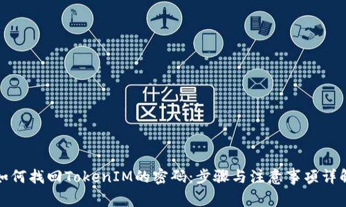 如何找回TokenIM的密码：步骤与注意事项详解