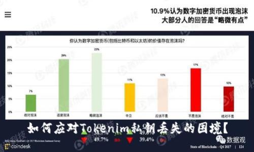 如何应对Tokenim私钥丢失的困境？