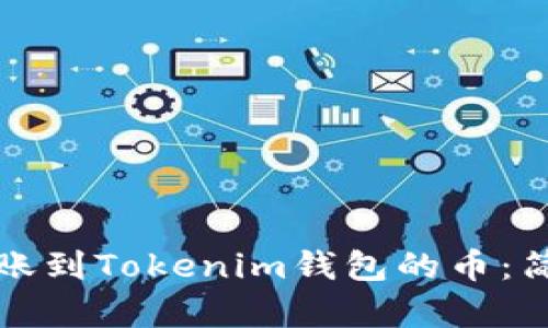 如何查看转账到Tokenim钱包的币：简单步骤详解