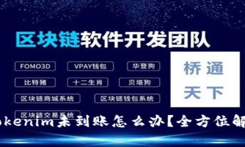 SHIB转到Tokenim未到账怎么办？全方位解决方案解析