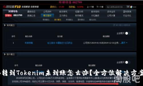 SHIB转到Tokenim未到账怎么办？全方位解决方案解析