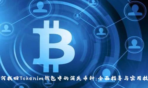 如何找回Tokenim钱包中的消失币种：全面指导与实用技巧