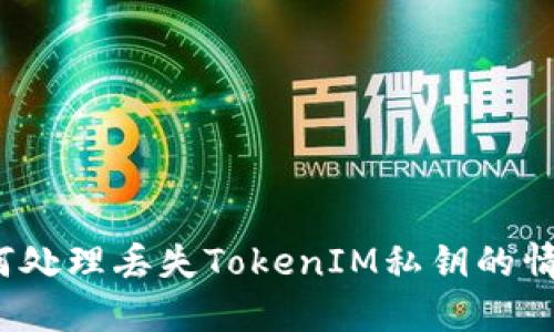 如何处理丢失TokenIM私钥的情况？