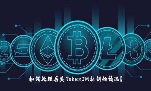 如何处理丢失TokenIM私钥的情况？